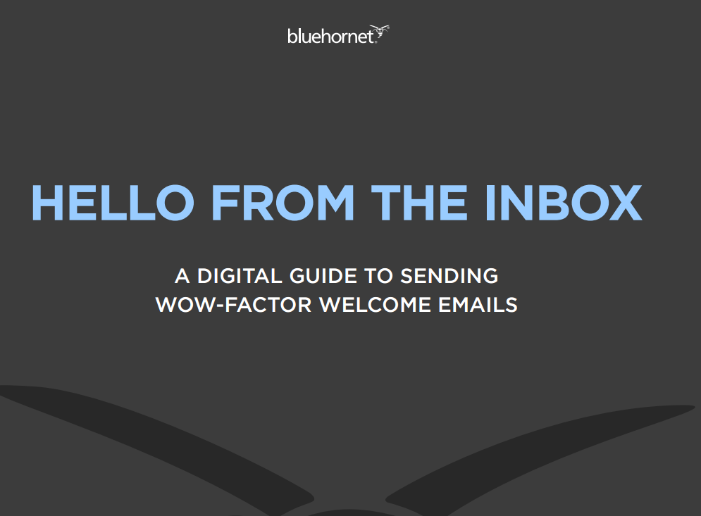 A Guide To Building A Welcome Email Campaign By Bluehornet