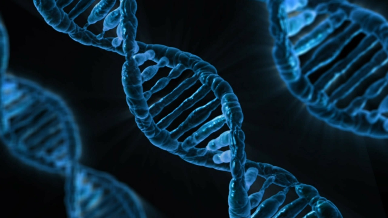 How Well Do you Know Your Member's DNA?